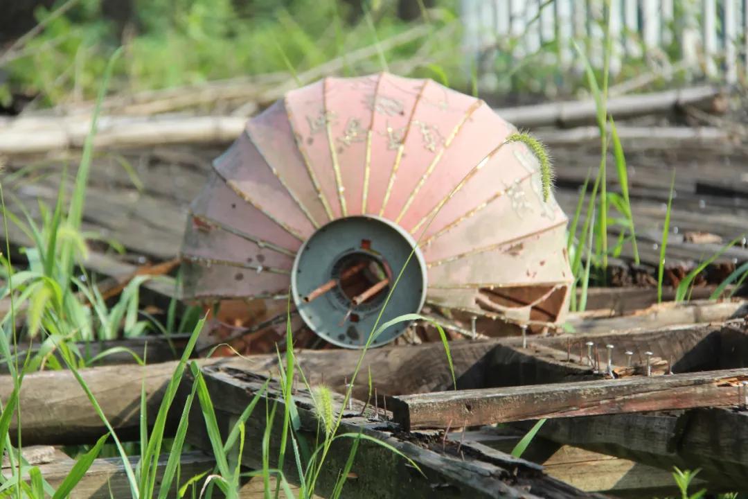 我要去旅行英文,我要去旅行完整版