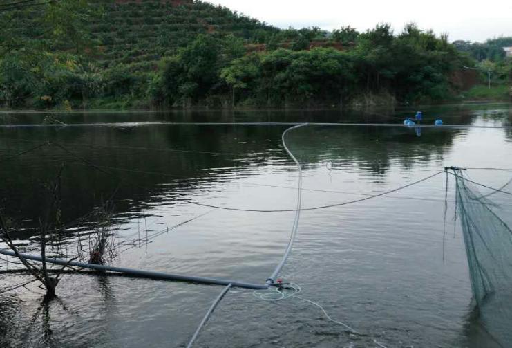 鱼塘养鱼的正确养殖方法有哪些,承包水库养鱼经济效益怎么样