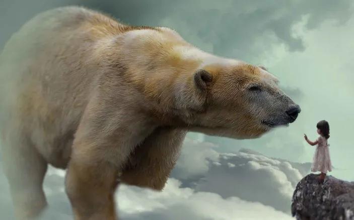 你是几月生的就代表你是什么动物,出生日期决定你是什么动物