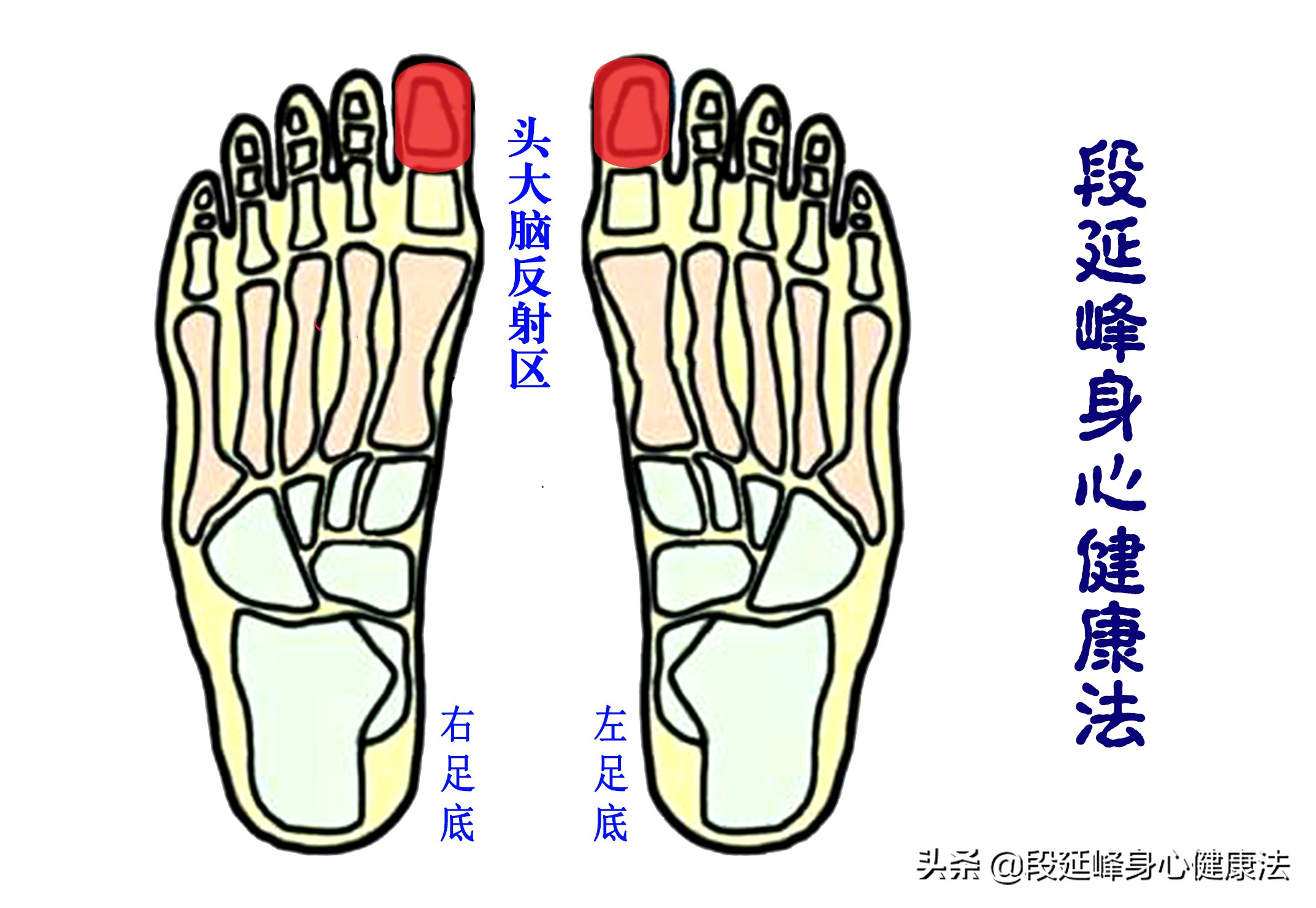 严重黑眼圈可以逆转吗,延峰治疗黑眼圈