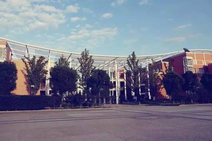 上海各区重点中学上大附中,上海附中实力排名