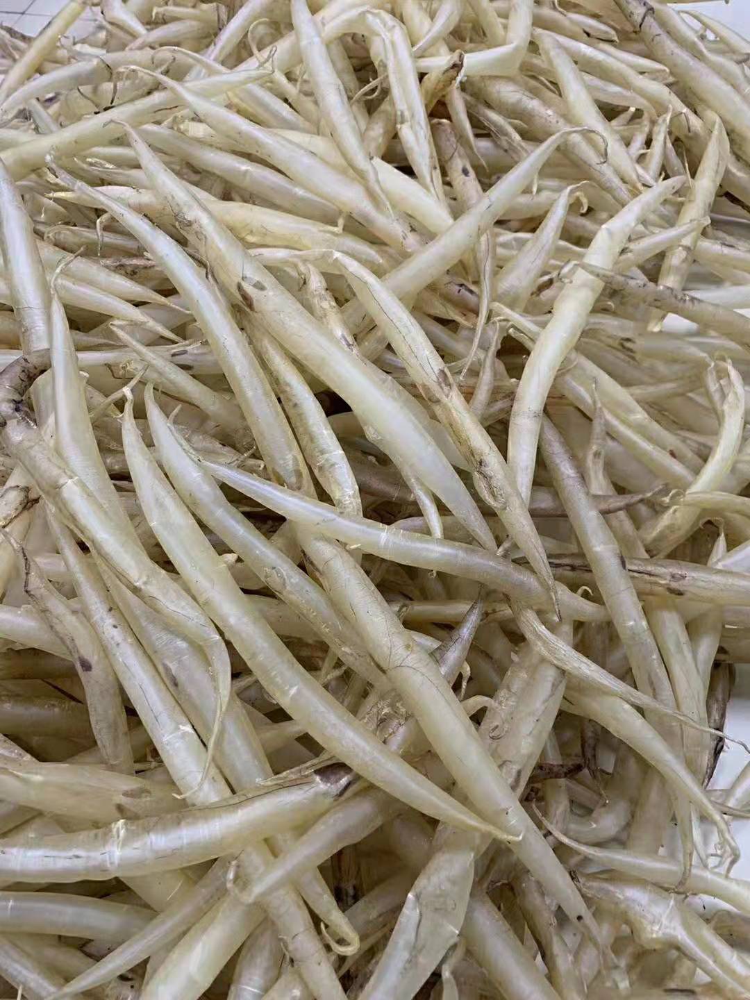 鱼胶花胶科普,关于鱼胶花胶的问题