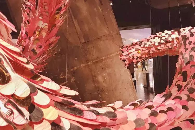 90后女学生解剖课,90后女孩上解剖课