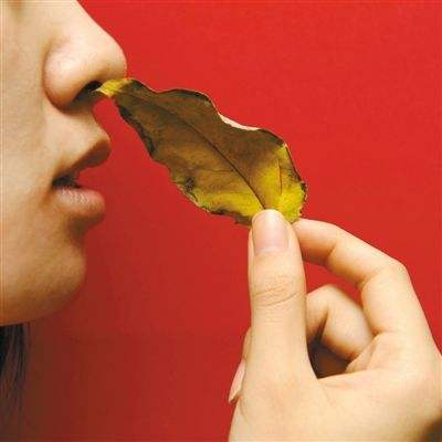 鼻炎的中医诊断及中医辨证,鼻炎中医辨证论治文库