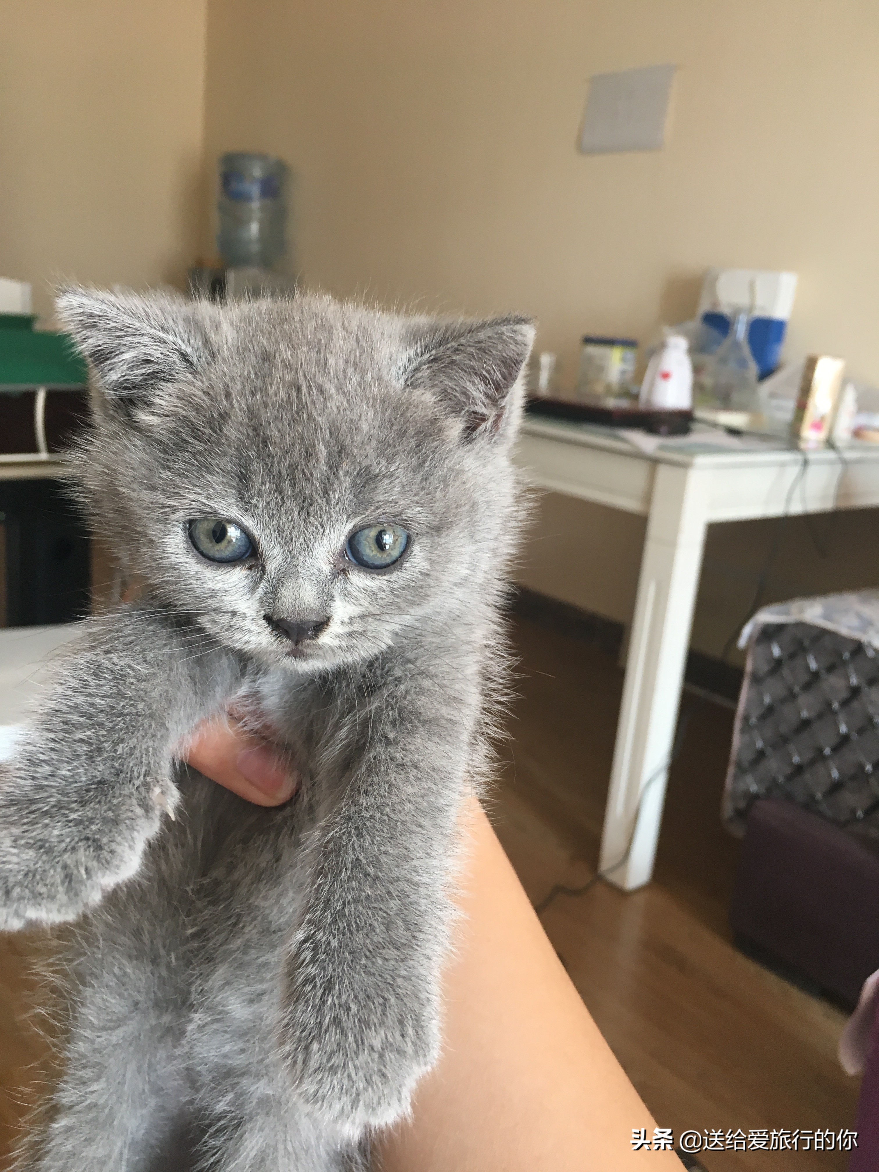 一支香烟飘在空中,一支烟去环游世界