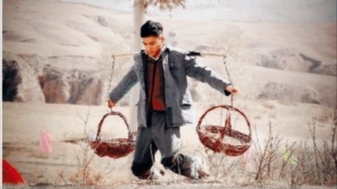 种植致富路有哪些项目,种植新模式及利润分析