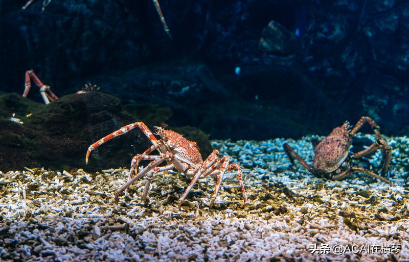 吃喝玩乐in珠海,珠海吃喝玩乐一体的地方