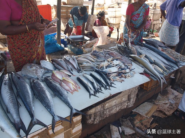 美国、俄罗斯、欧洲、印度、日本、非洲、南美洲都吃什么鱼？