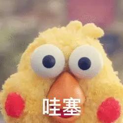 内江大千社区招聘,内江市和平广场招聘会