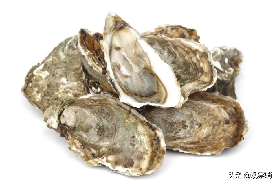 美国海军清理藤壶,美国的航母怎么处理藤壶