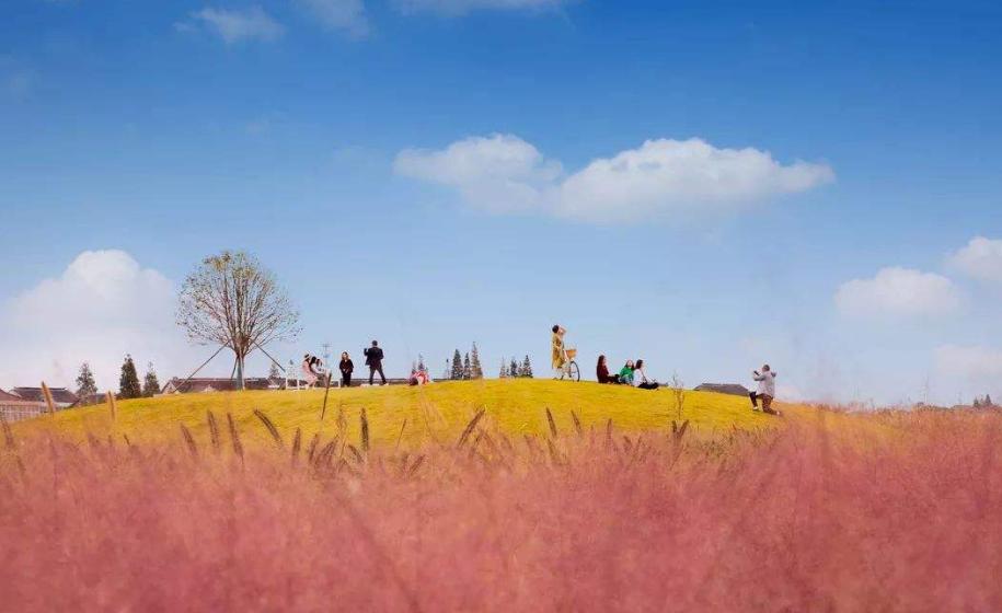 江苏发现中国宝藏,江苏宝藏大省