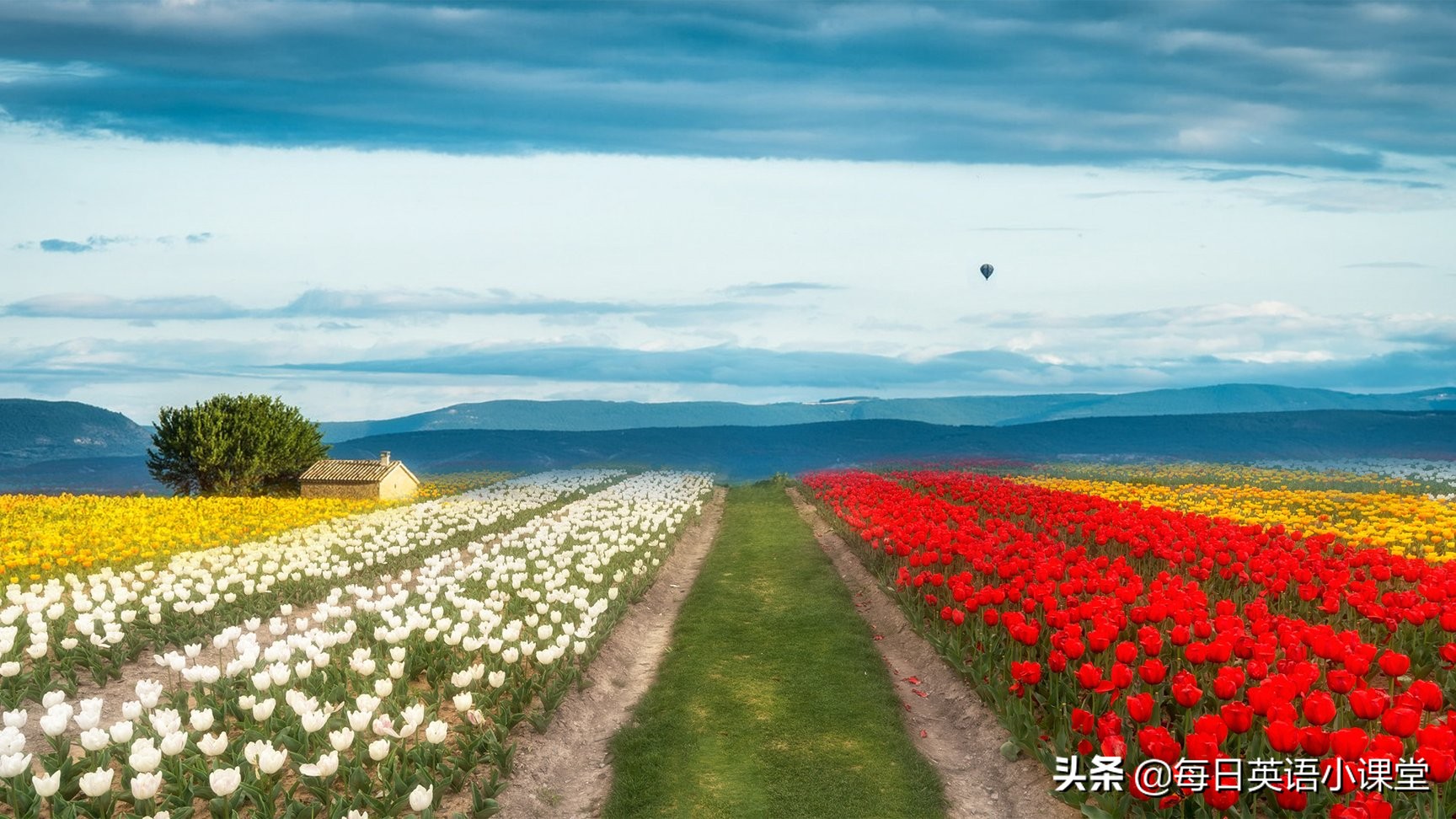 cultivatingahobby璇炬枃缈昏瘧,cultivatingahobby璇炬枃璇戞枃