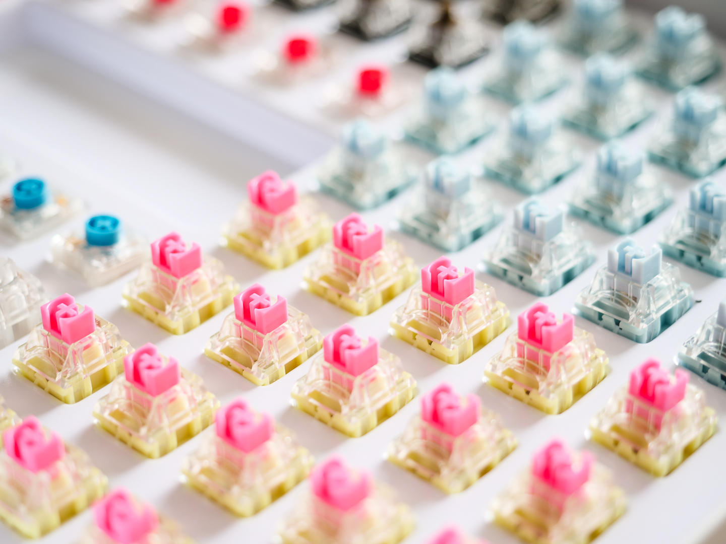 ttc金粉轴为什么比金红轴更受欢迎,ttc金粉轴为啥那么贵