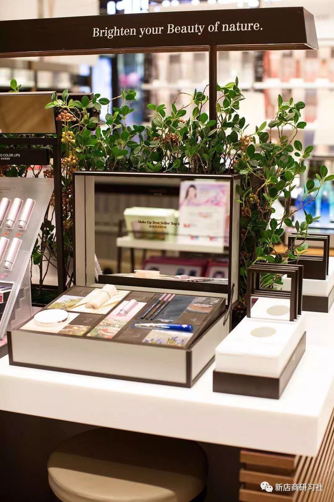 中国化妆品单品牌店排行2019,品牌化妆品源头工厂在哪里