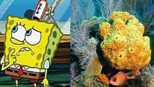 海绵宝宝里面的凯蒂猫真香,海绵宝宝动画片你不知道的秘密