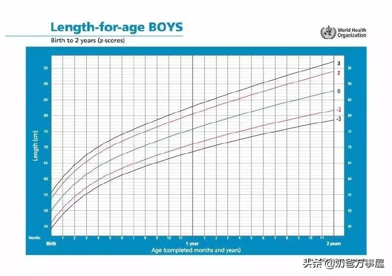 孩子肥胖营养师,营养师如何给孩子补充营养