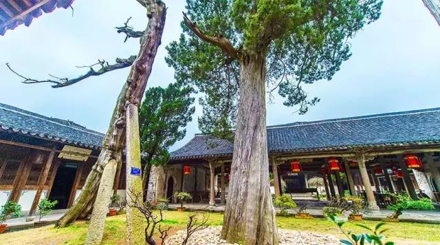 金华市著名网红,十大网红打卡圣地金华