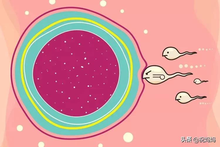 精子不够怎么才能怀孕,精子量少会不会怀不上
