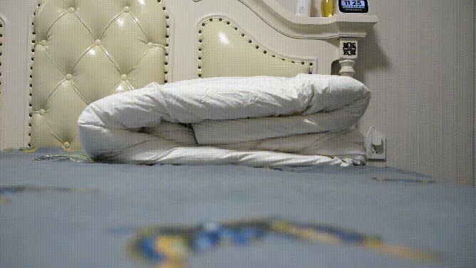 羊毛蚕丝鹅绒被子哪个更保暖,鹅绒被蚕丝被测评