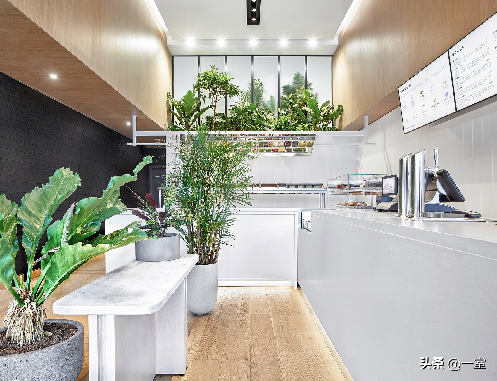 网红庭院植物搭配,网红绿植搭配技巧