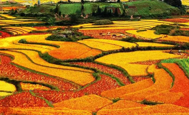 醍醐灌顶文章,醍醐灌顶的文章四句话