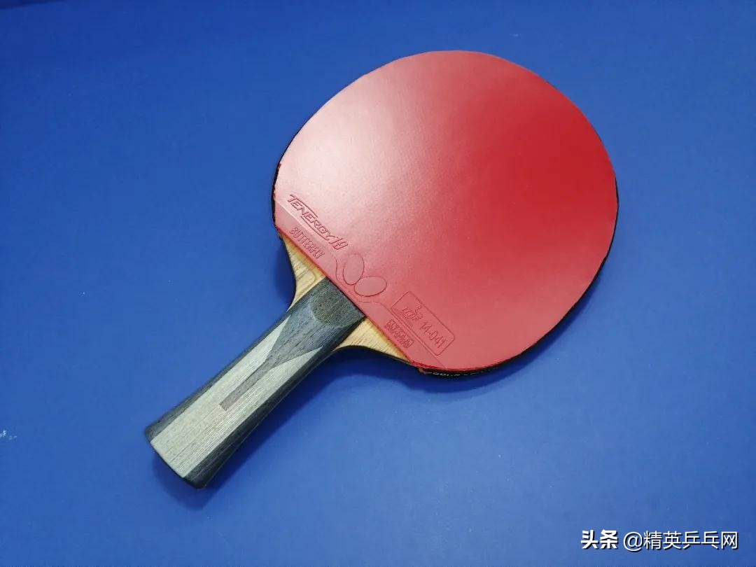 蝴蝶t19套胶对比d09c,蝴蝶t19和t05谁适合反手