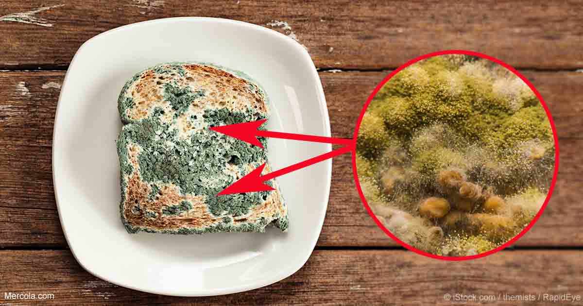 霉菌是什么病图片,霉菌是啥