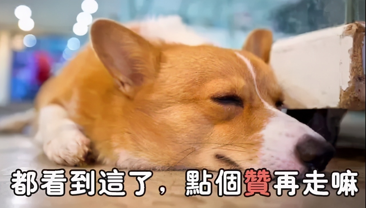 宋威龙、赵露思皮肤管理失败?毛孔粗大怎么办-四步改善毛孔粗大