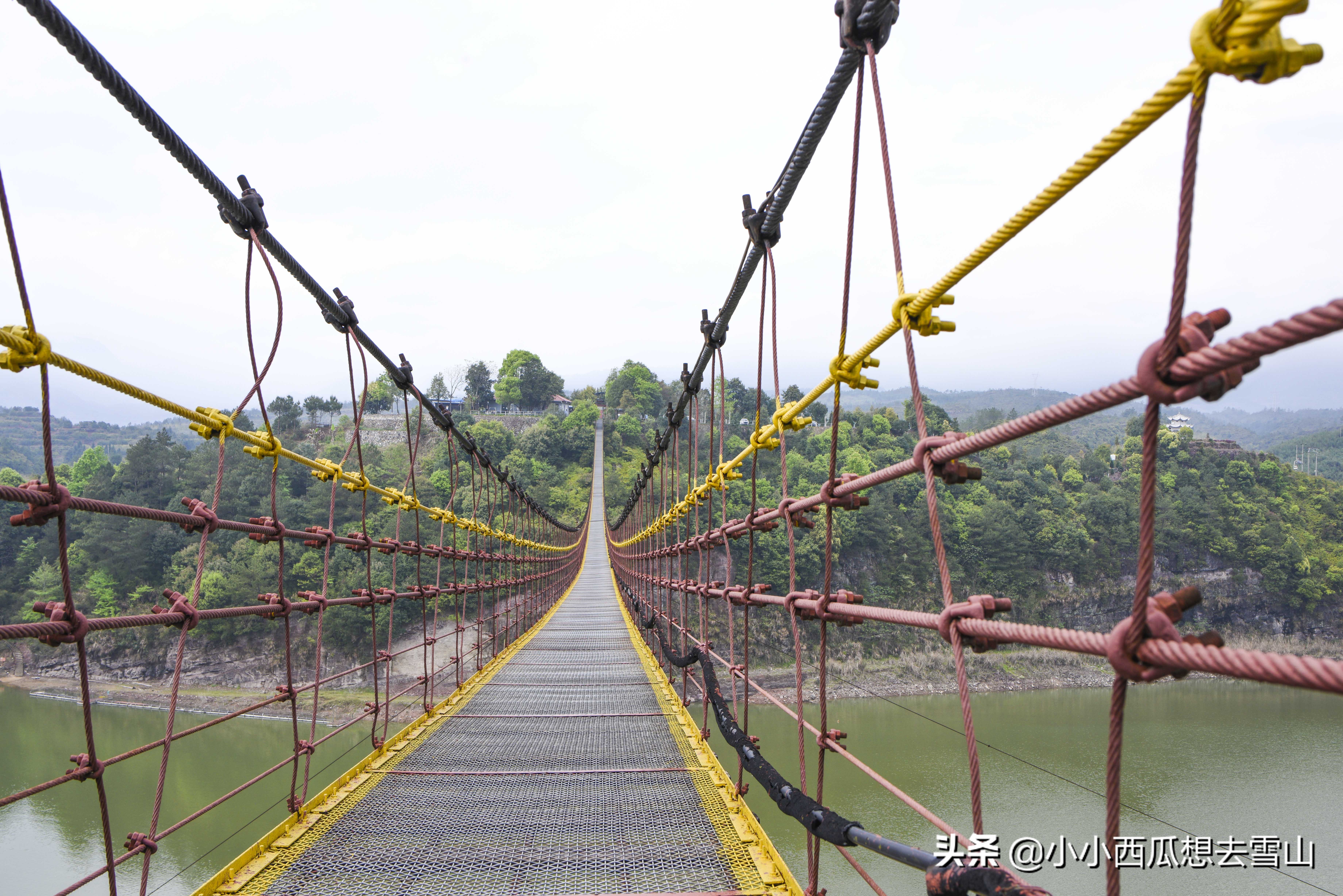 浙南小众宝藏旅行地,浙江温州灵溪铁索桥景点