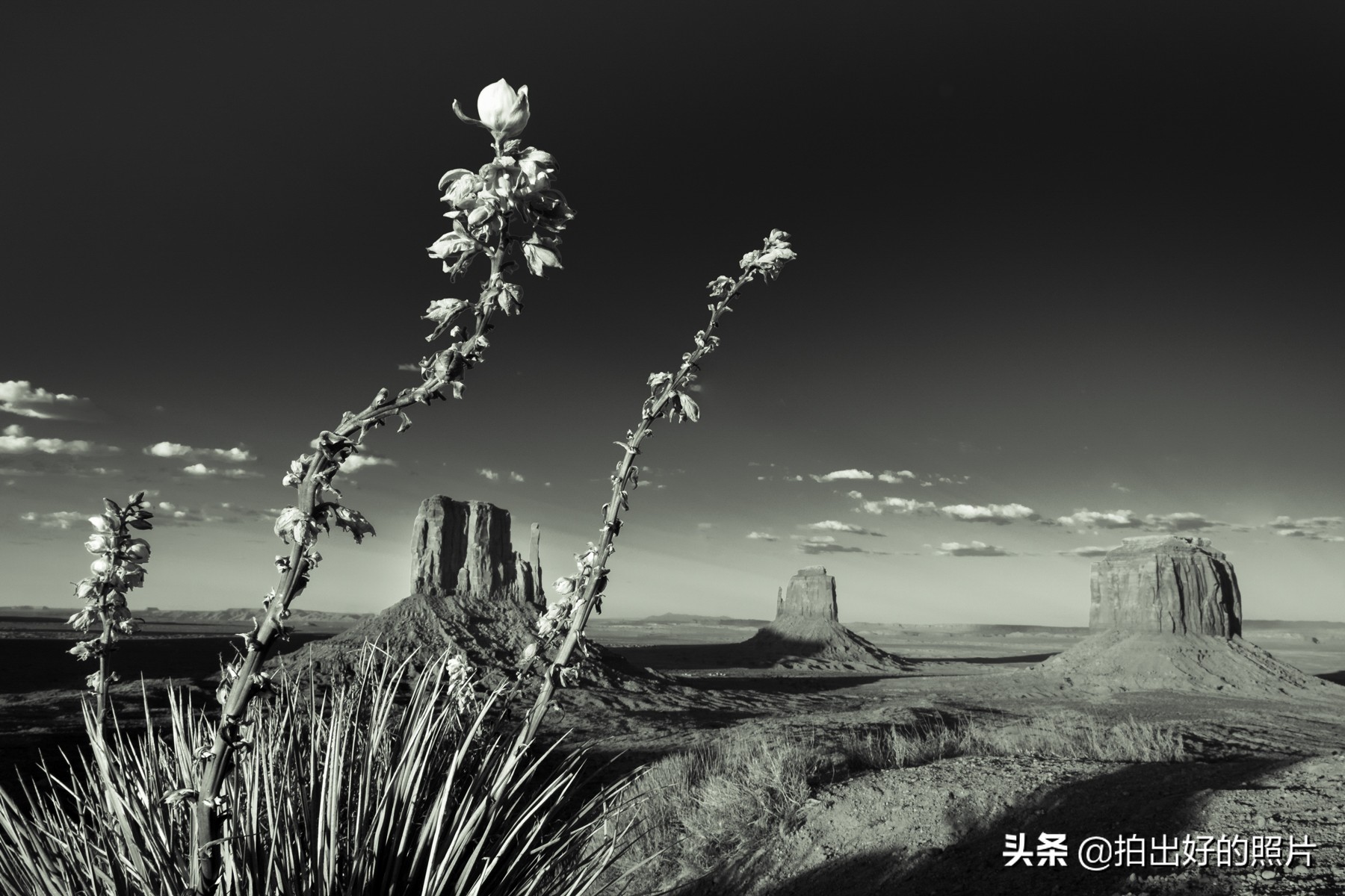 美西荒原,最美西藏拍摄地