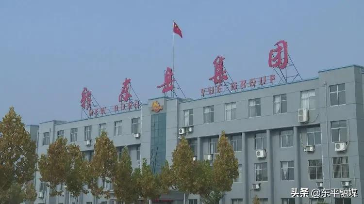 东岳集团2019年新项目,东岳集团奖励