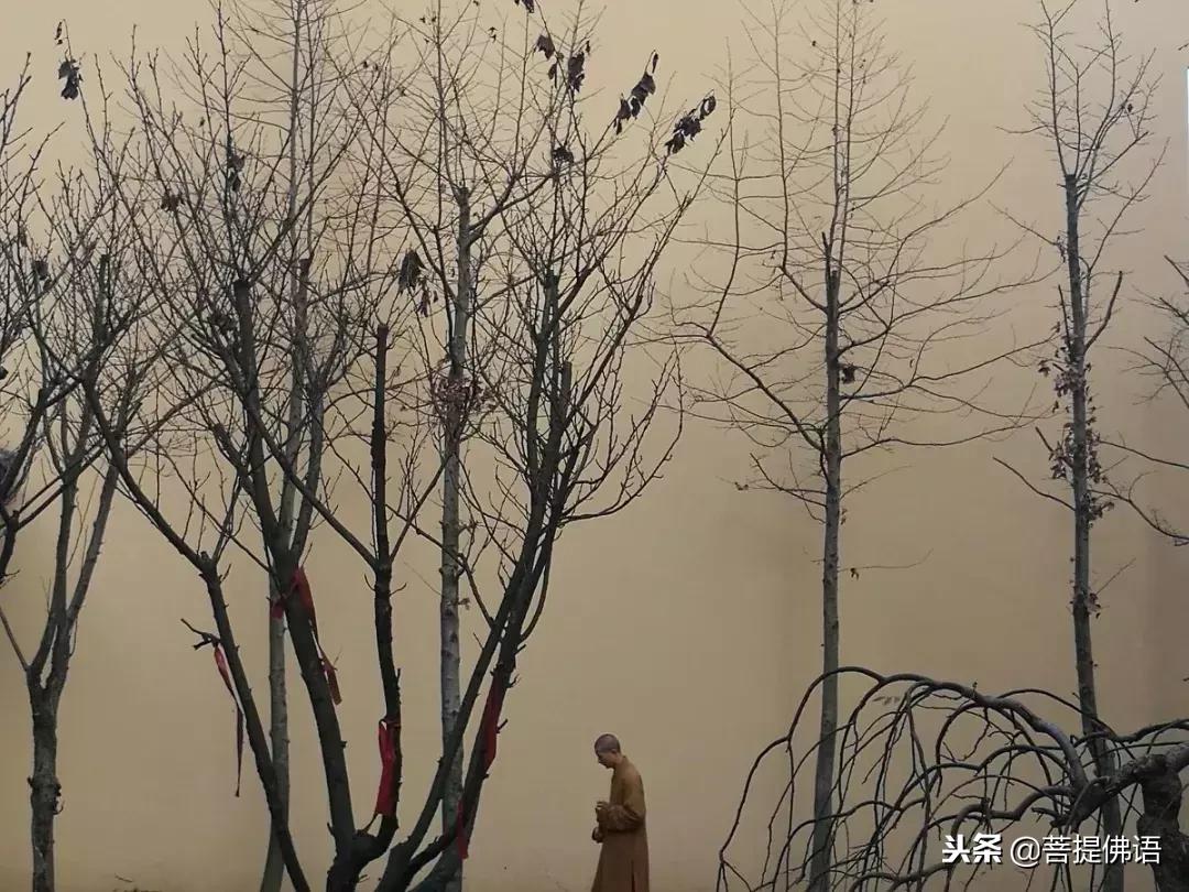 五个佛家禅理小故事,佛教智慧小故事