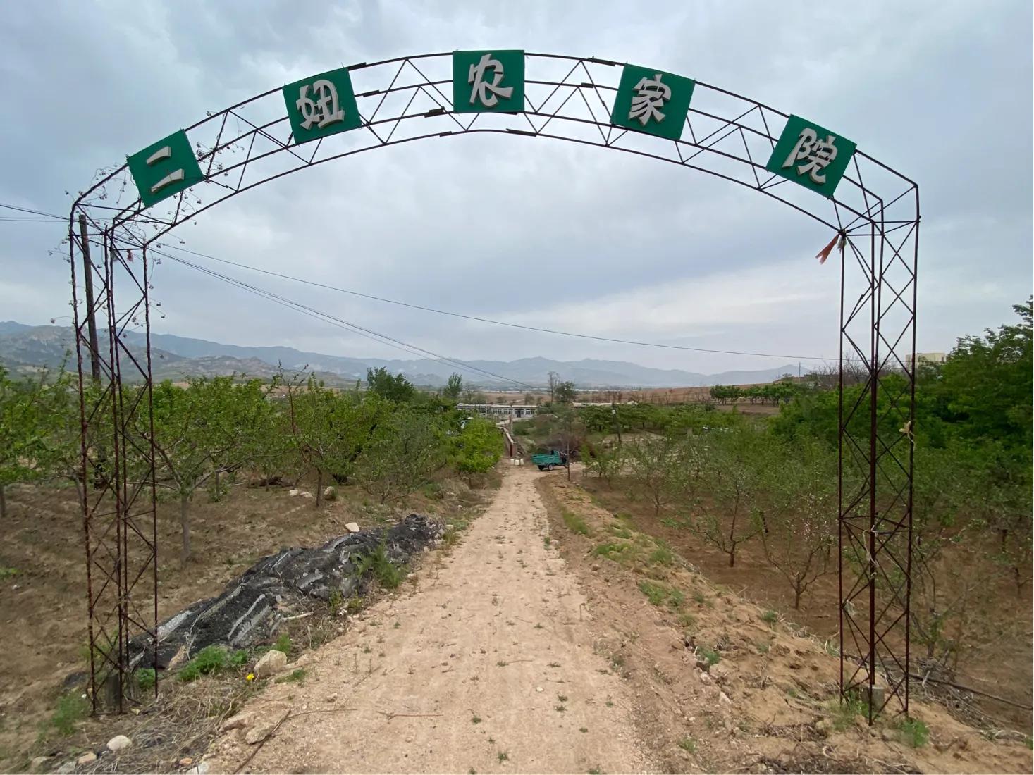 【7/5】29、搬倒井后太爷墓