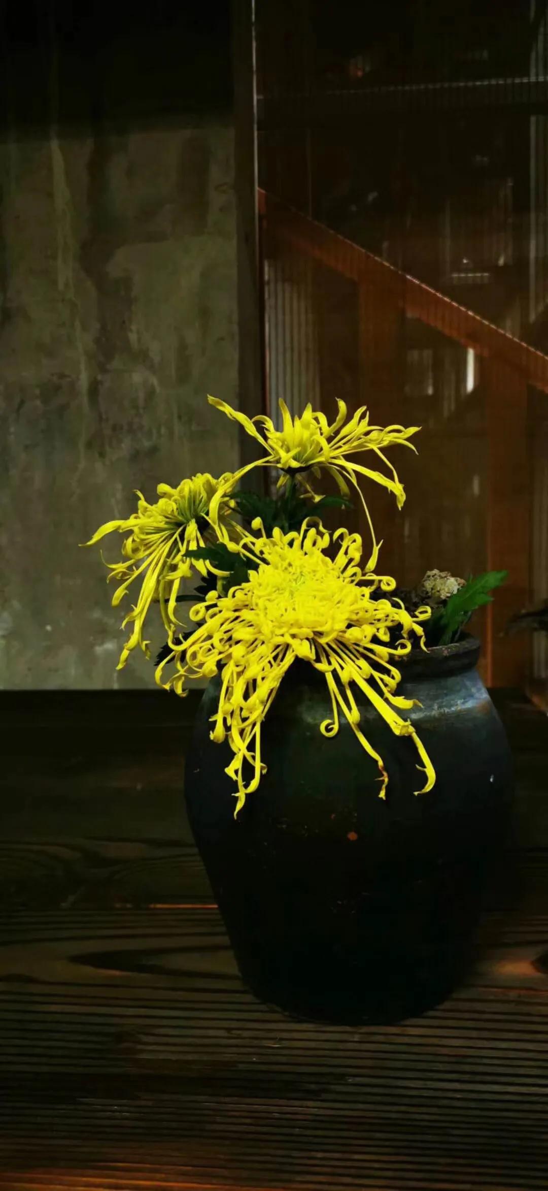 美即是正义是什么梗,美即是医用面膜吗