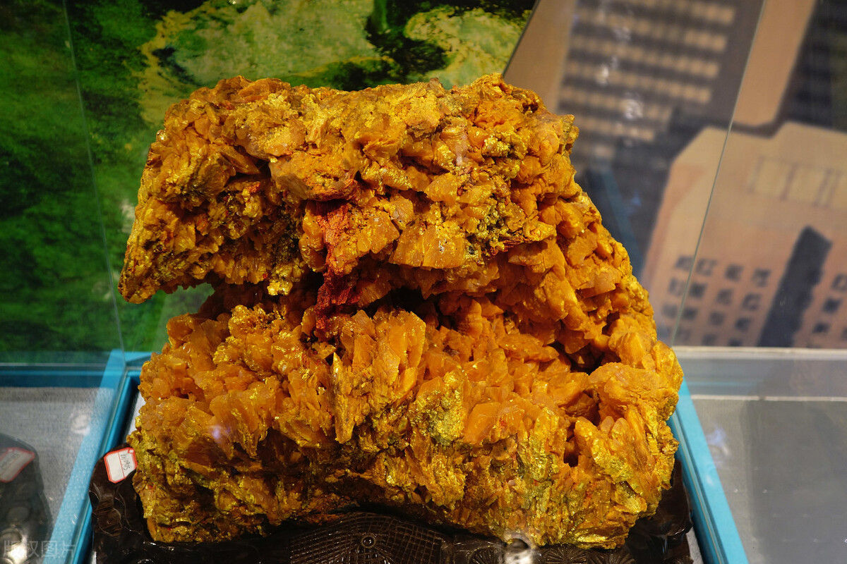 蛇为什么惧怕雄黄,有的蛇为什么不惧怕雄黄