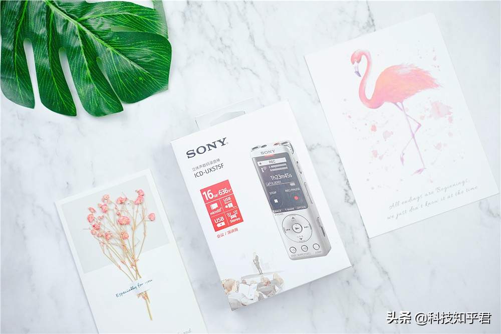 索尼录音笔icd-ux544f使用说明,商务人士专用笔