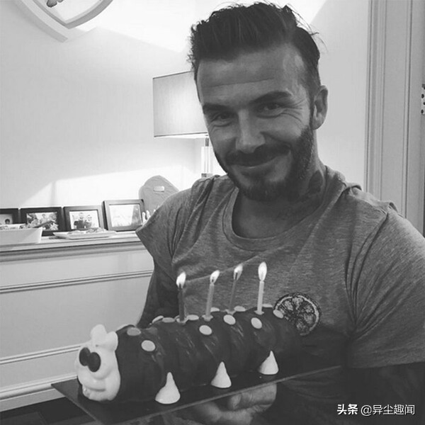 全世界最好看的生日蛋糕,史上最有创意的生日蛋糕