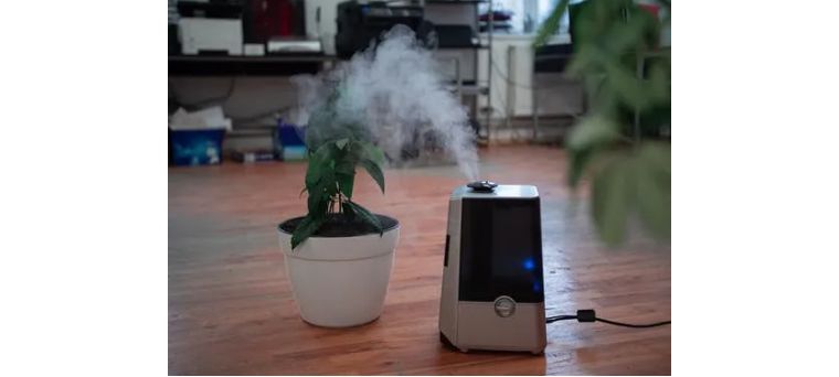 冬天静电最好的解决方法,冬日人体静电怎么消除