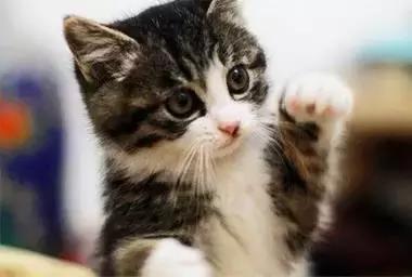 最容易读错的106个多音字赶快收藏,必背50个常见多音字你会几个