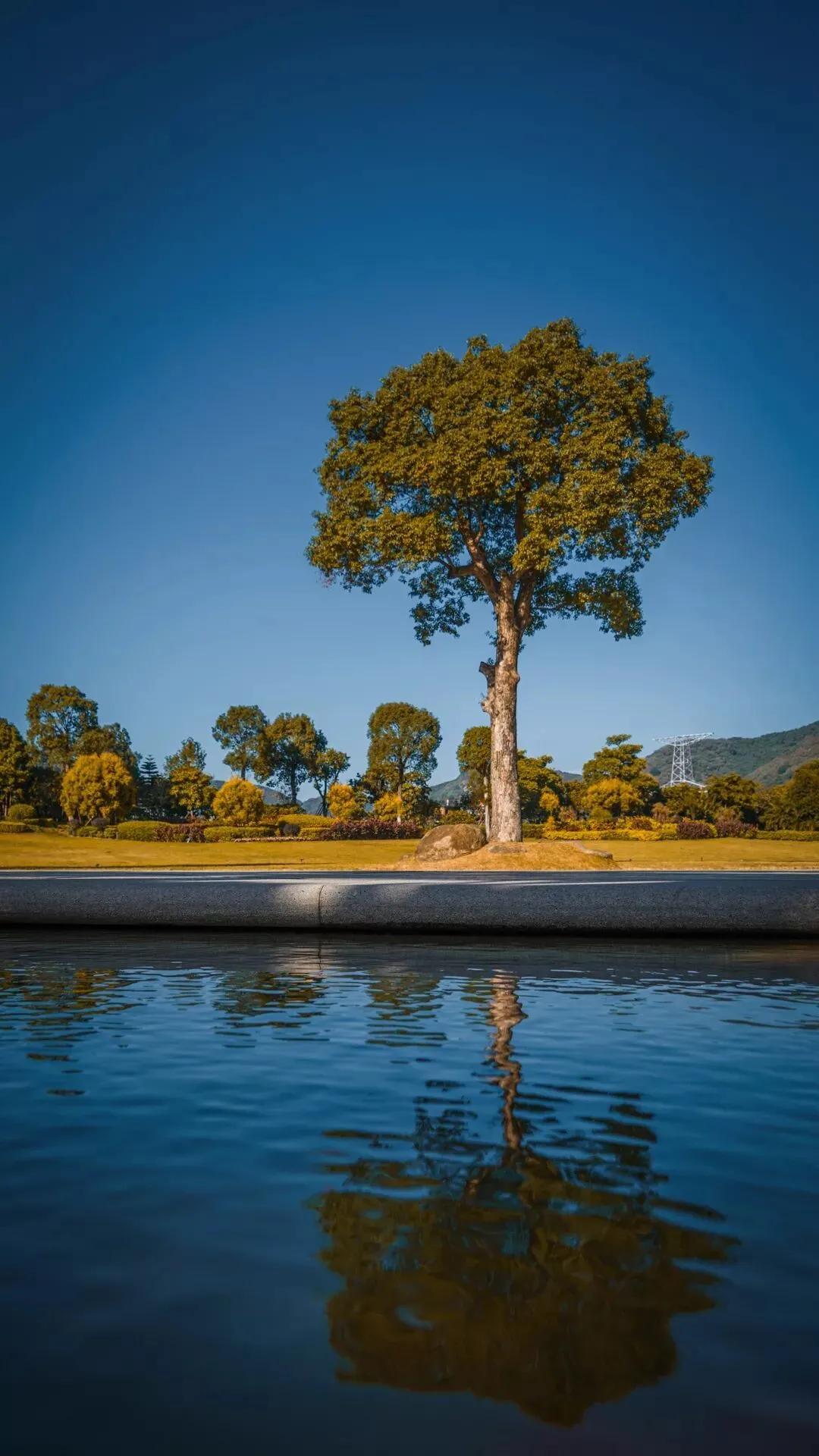 看,这是属于泉信的秋韵