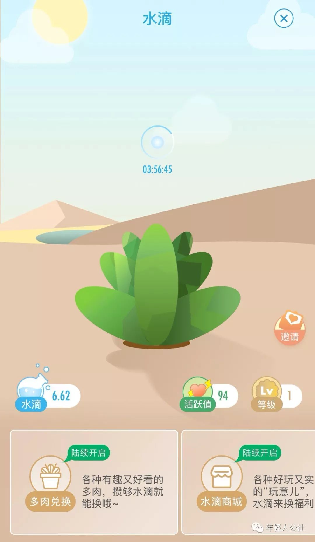 微博绿洲,微博绿洲的前景