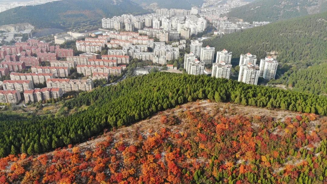 赏秋不远行就近赏秋景,赏秋何必去远方