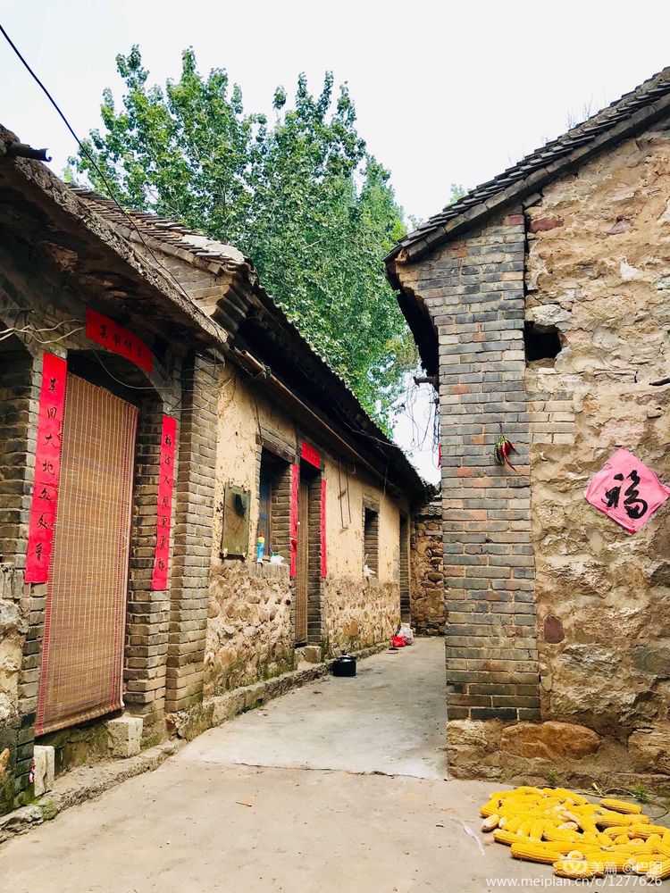 洛阳晚报作品,洛阳晚报2020年