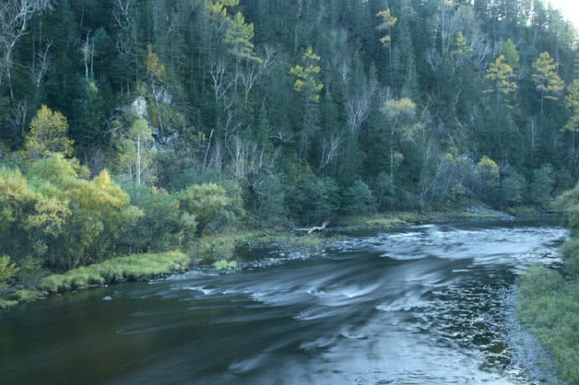 在中俄边界有这么一条原始河流,可以钓到冷水鱼“湖鱥”