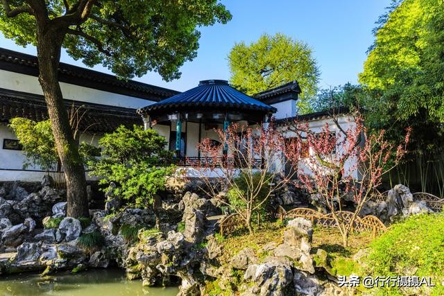 苏州园林狮子林附近,苏州园林之狮子林赏析