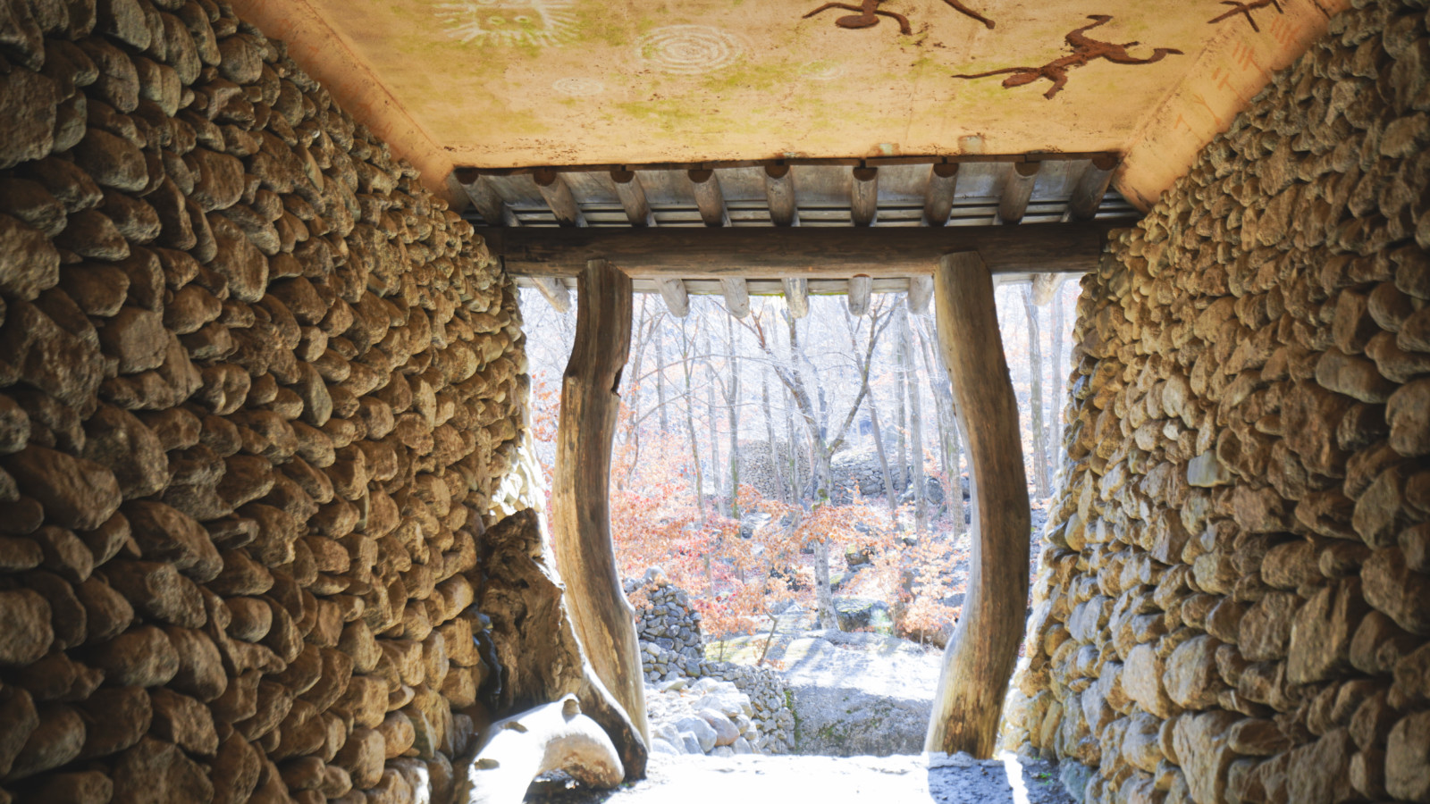 挖人参、做丹药、住转运古宅，想不到的韩国深山秘境游