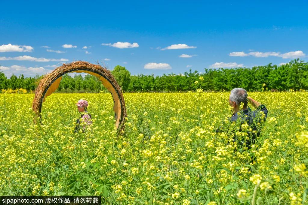 北京坐着不动的景点,网红公园北京三里河公园