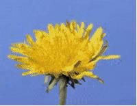 BOZ宝致|脸上浮粉怎么办？4个诀窍摆脱皮肤起皮尴尬