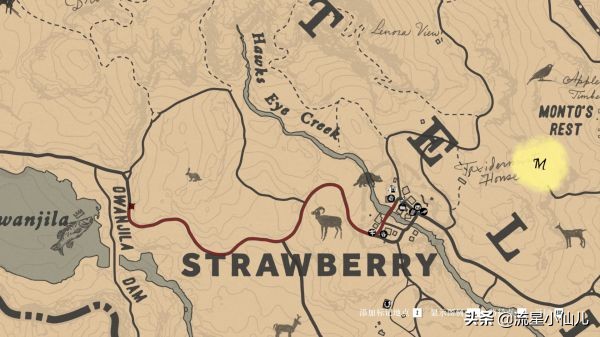 荒野大镖客捡的帽子怎么保存,荒野大镖客打掉三个人的帽子