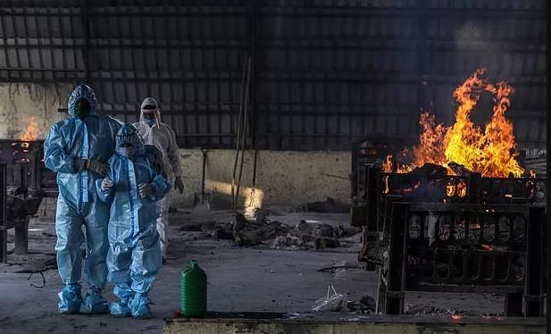 印度变异毒株多厉害,印度变异毒株真实的样子